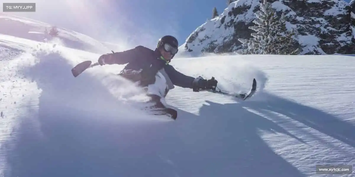 我们的品牌价值